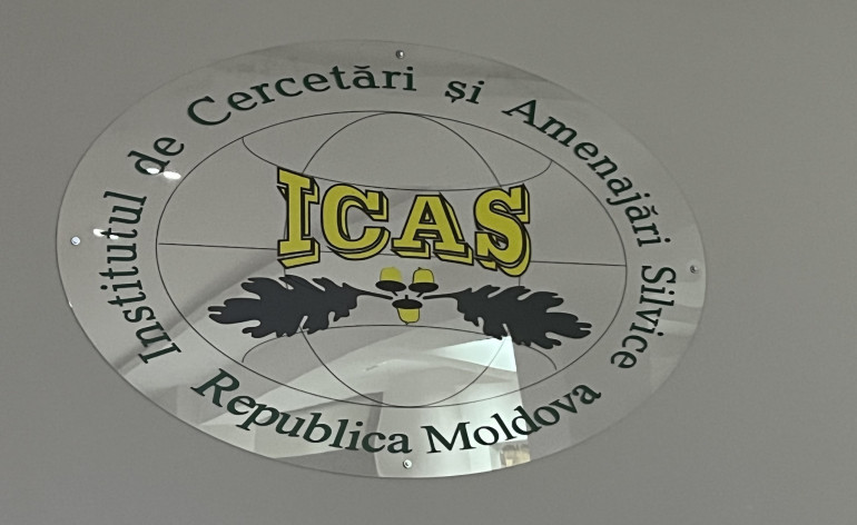 Eveniment de informare privind activismul social prin prisma aprobării Regulamentului nou cu privire la Comunitățile de Energie Regenerabilă Image